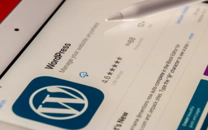 How To Become A WordPress Developer