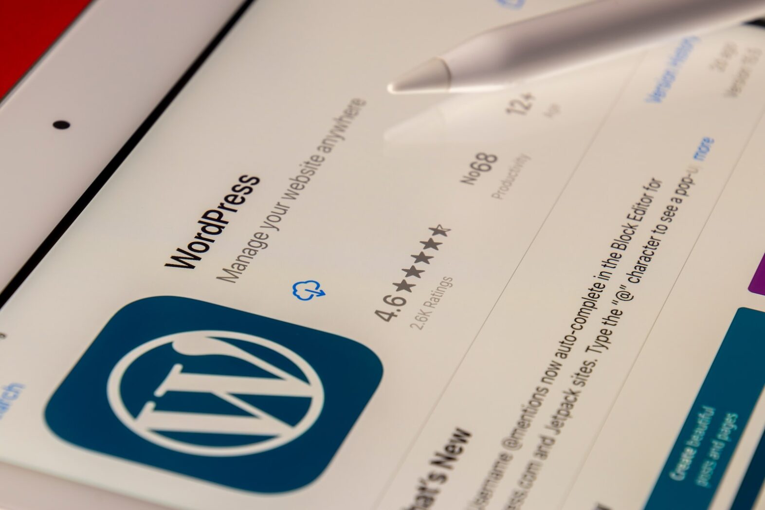 How To Become A WordPress Developer