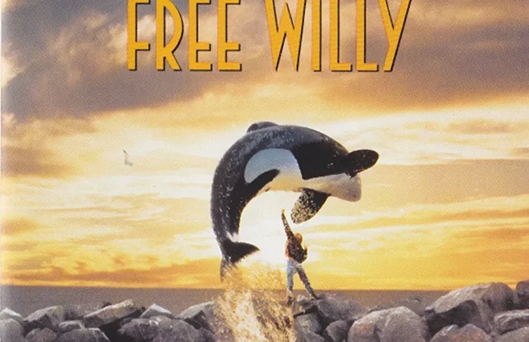 Free Willy Filming Locations & The Stunning Visuals