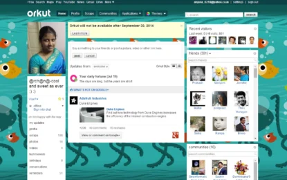 What Happened to Orkut? Brazil, India, and 2014