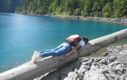 Planking Meme